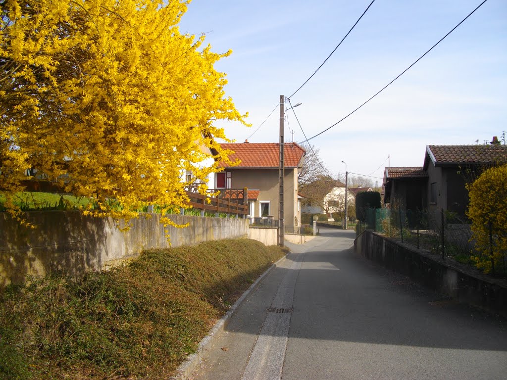 Rue des Jardins à Nommay by Claudius B.