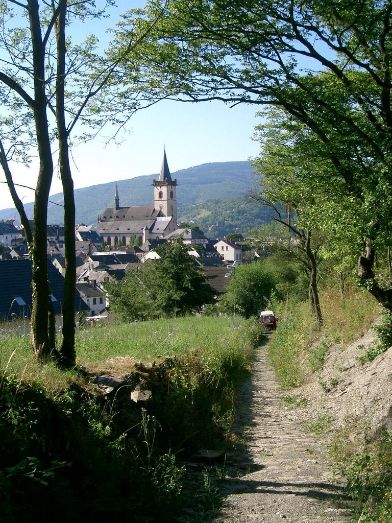 Lorch am Rhein; Rheinsteig by herxemer