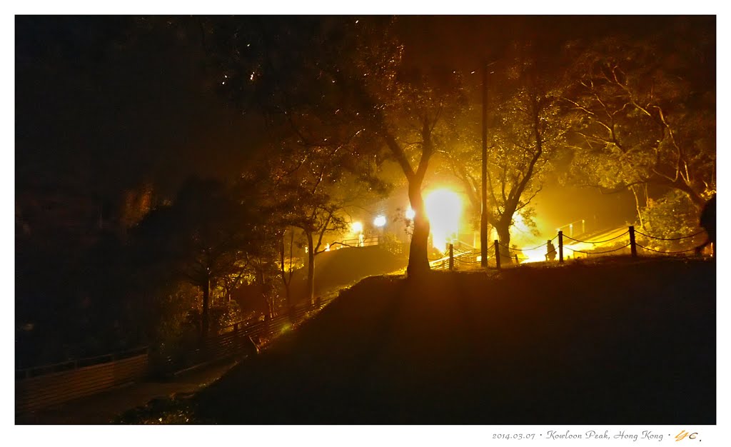 Gilwell Campsite in Fog 霧中營地 by James Hung