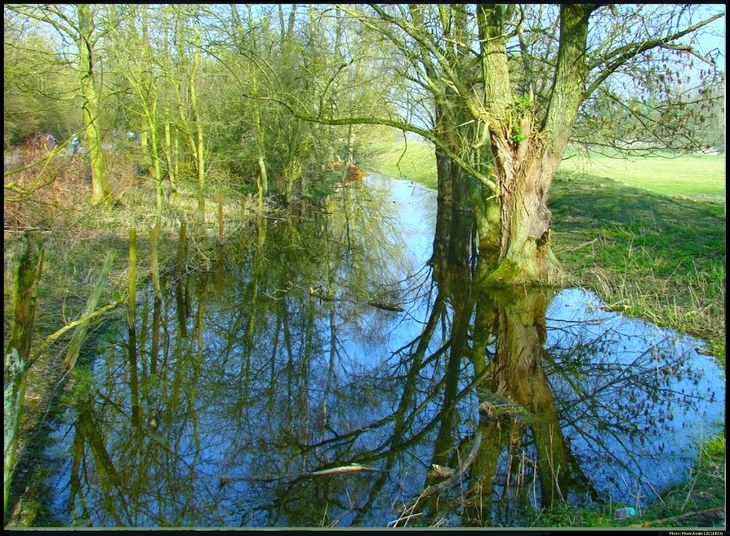 Condé sur l' Escaut, Parc Naturel Régional Scarpe-Escaut, l’étang Chabaud-Latour by Pierre-André Leclercq