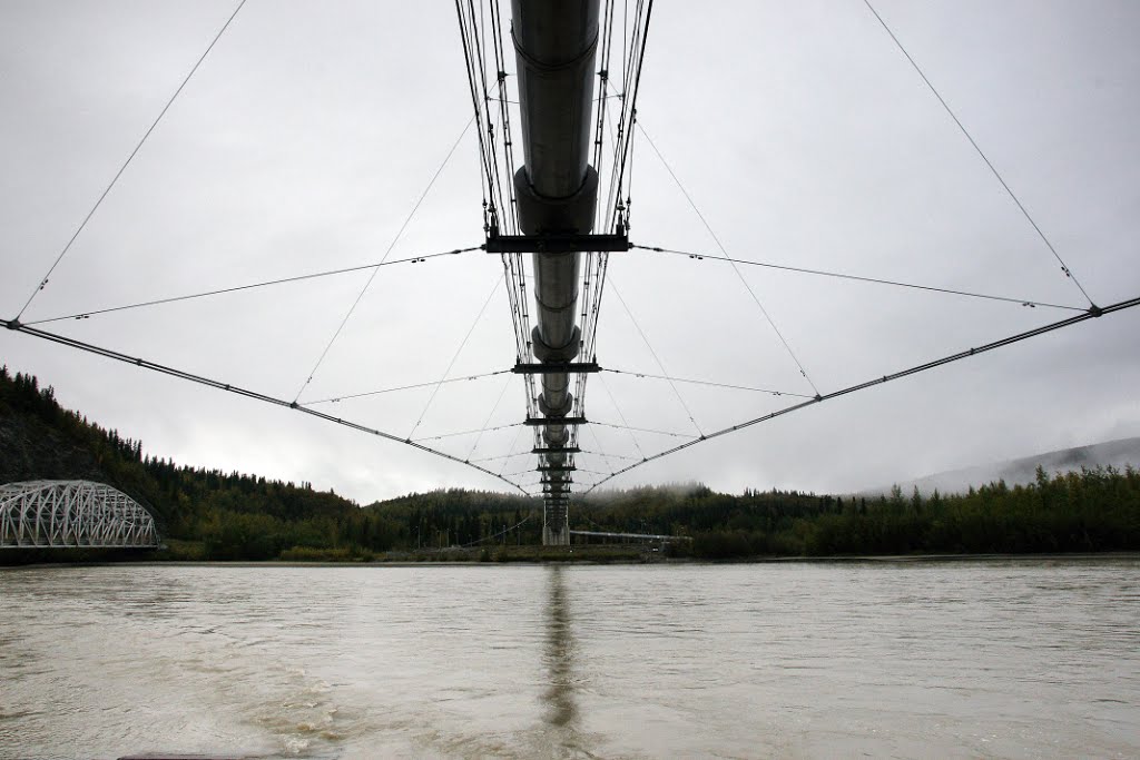 Alyeska Trans Alaskan Pipeline crossing the Tanana River - 05.09.2010 by torte276