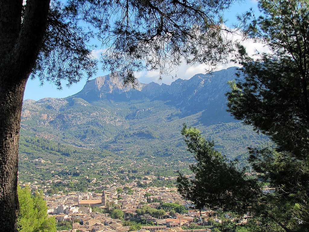 Blick auf Sóller und den Puig Mayor by picotuna