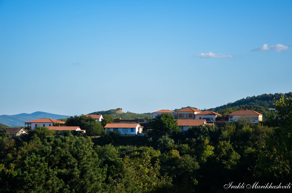 Signaghi houses by irakli_mm