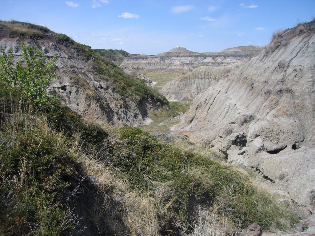 Looking Down The Spectacular Slot Canyon In Horseshoe Canyon Near Drumheller AB May '08 by David Cure-Hryciuk