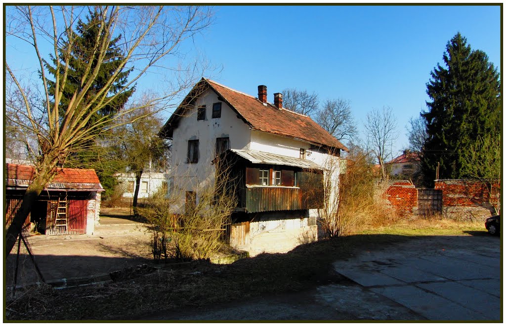 Týniště nad Orlicí - Turkova ulice, secesní dům by Václav Hromadko