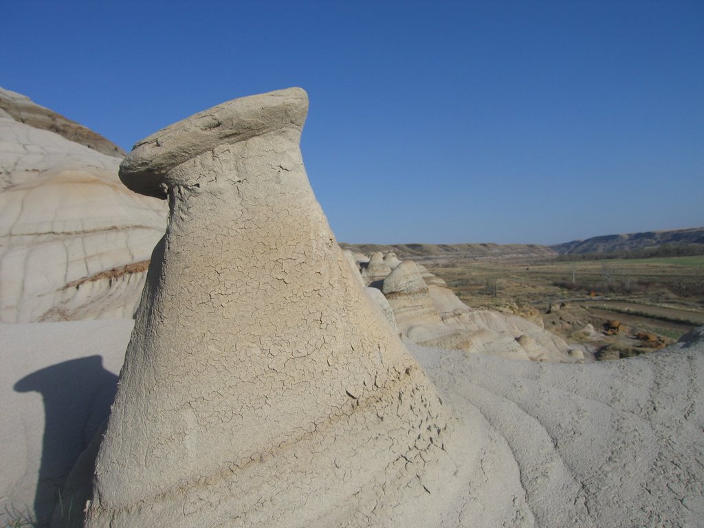 A Mushroom Looking Hoodoo Near East Coulee AB by David Cure-Hryciuk