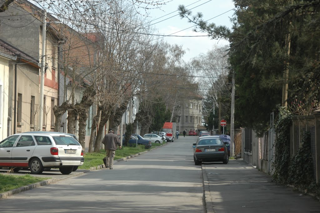 Zemun, Vikentija Rakića by Teča sa Dunava