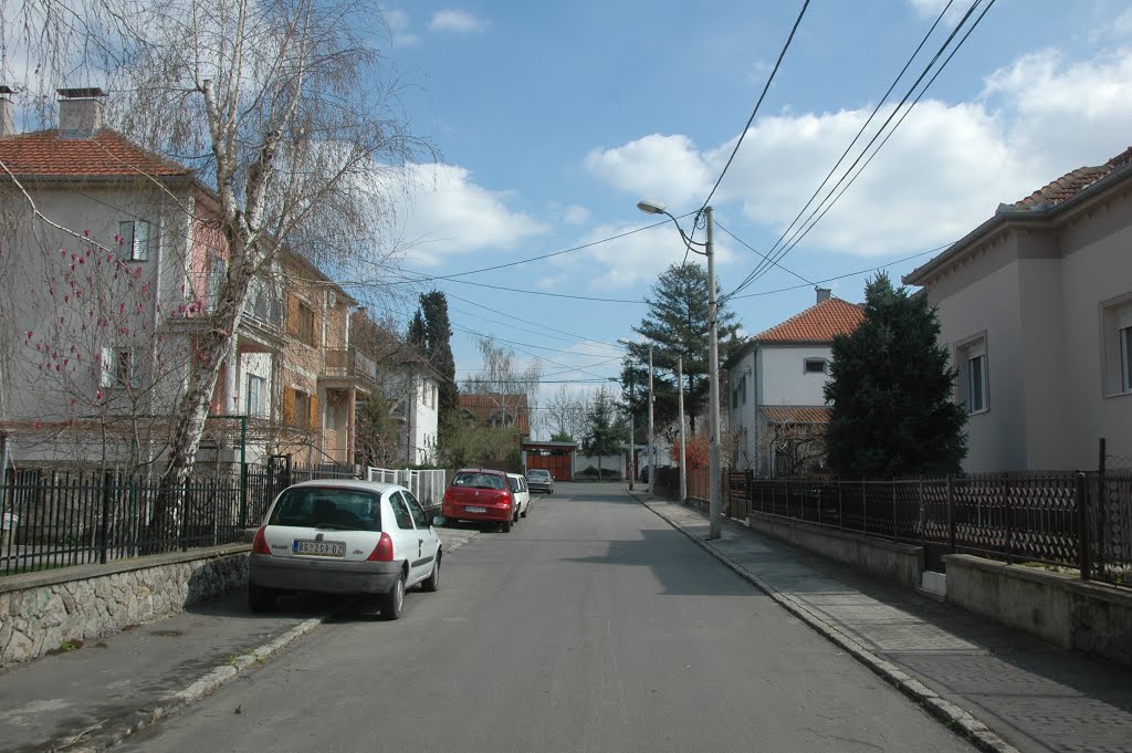 Zemun, Inžinjera Kapusa by Teča sa Dunava