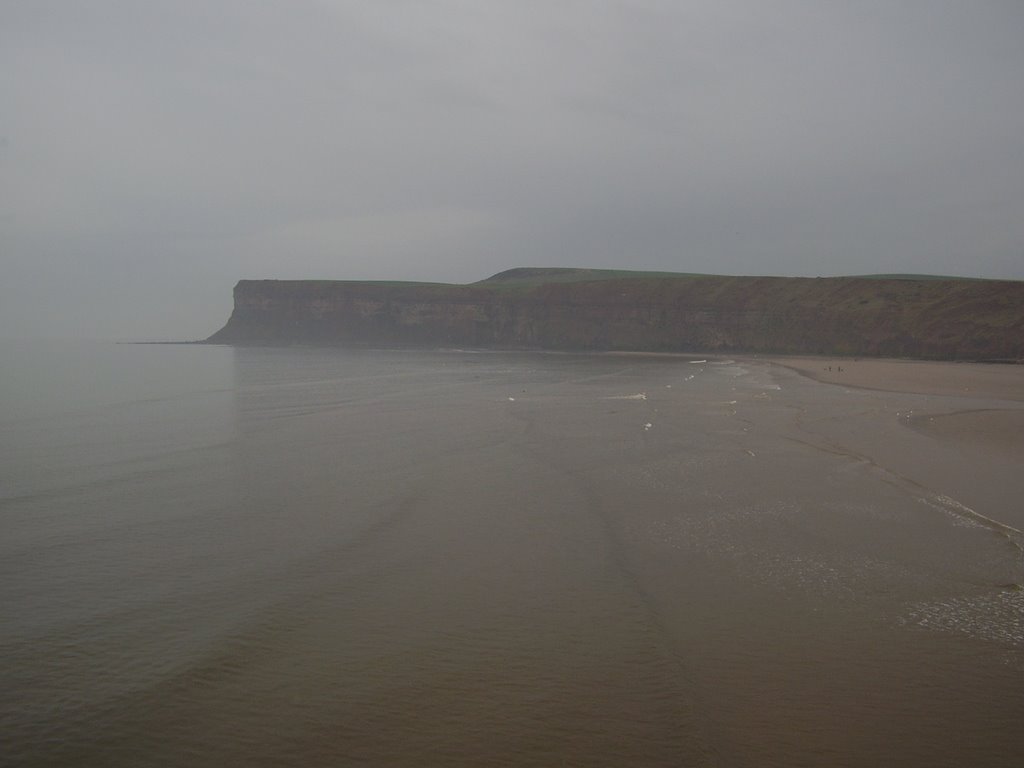 Saltburn Cliff, picture taken from the pier by MJ.