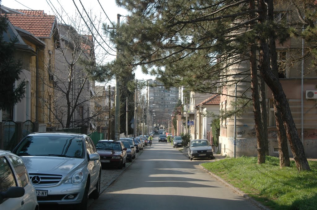 Zemun, Ulica Djordja Pantelića by Teča sa Dunava