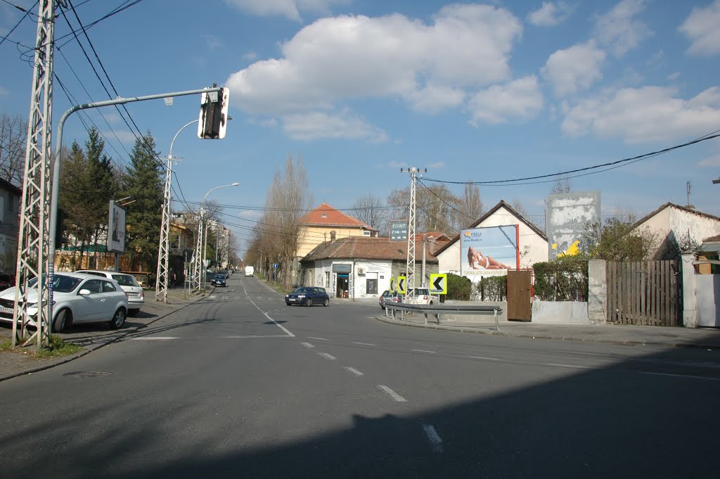 Zemun, Ulica Prvomajska by Teča sa Dunava