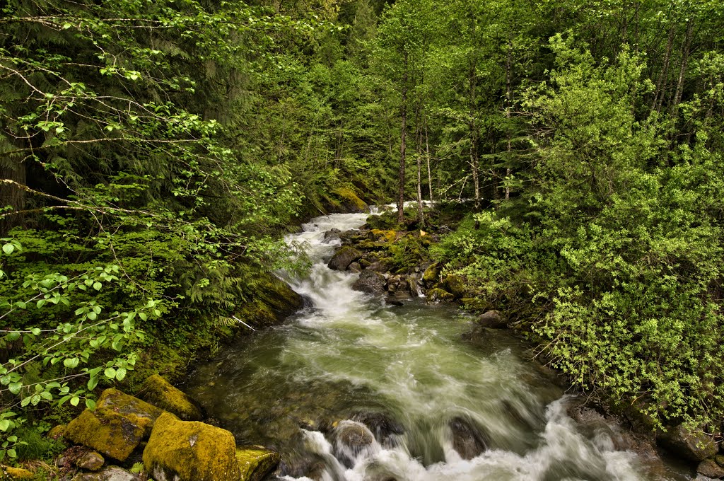 Natural spring water by freelancebob