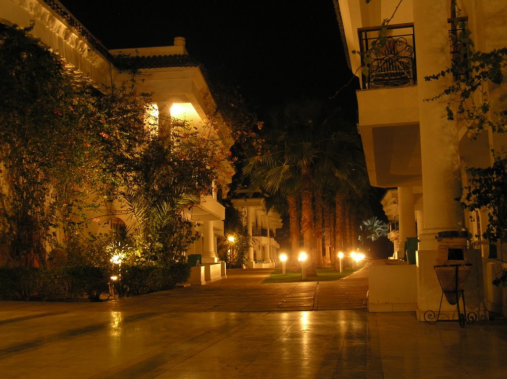 Seti Sharm hotel at night by Andrey Miroshnikov