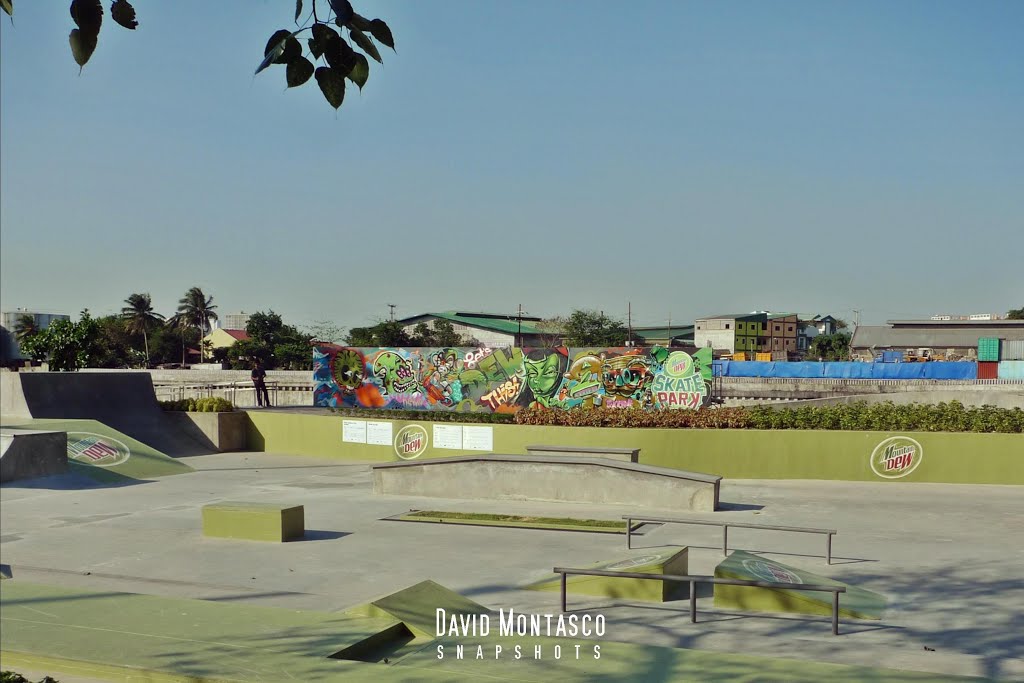 Mountain Dew Skate Park 2014 by Montasco