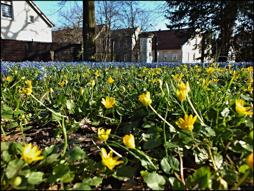 Burg bei Magdeburg, reformierter Friedhof. by Der Burger JL