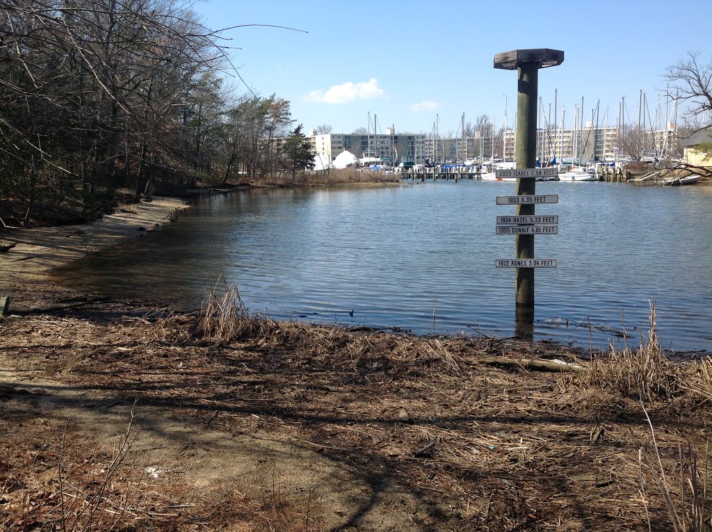 Ellen Moyer Park West entrance by Hank McComas