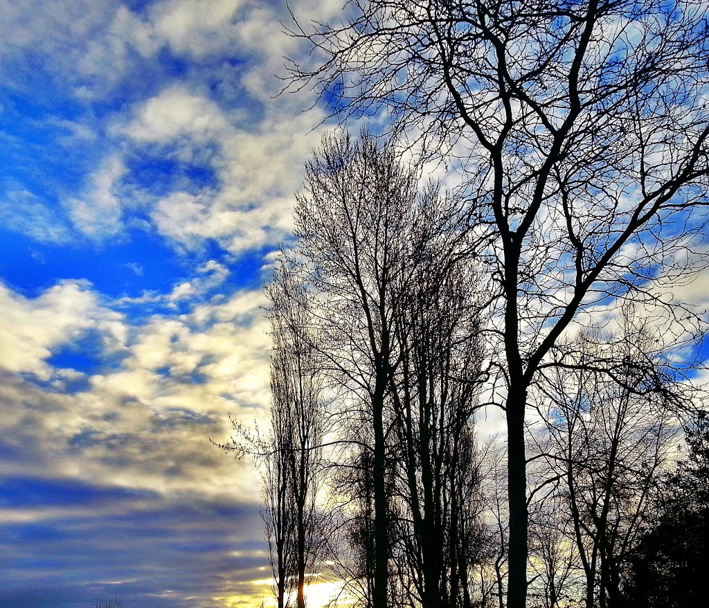 Spring Equinox Morning at RedWest Campus Trail Park by Boathill {舟山}