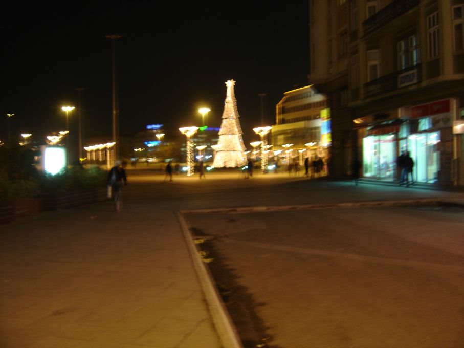 Christmas tree at main square by Cathrine EV