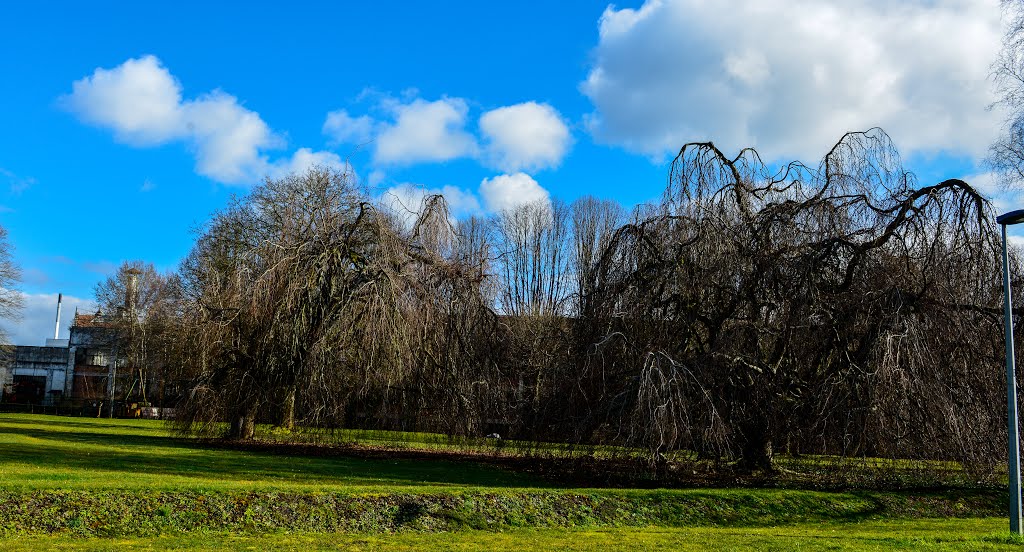 PARC ROTONDE EN HD by alvaro280365