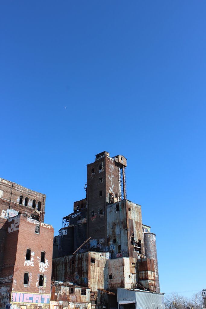 Abandoned Canada Malting Plant by pegase1972