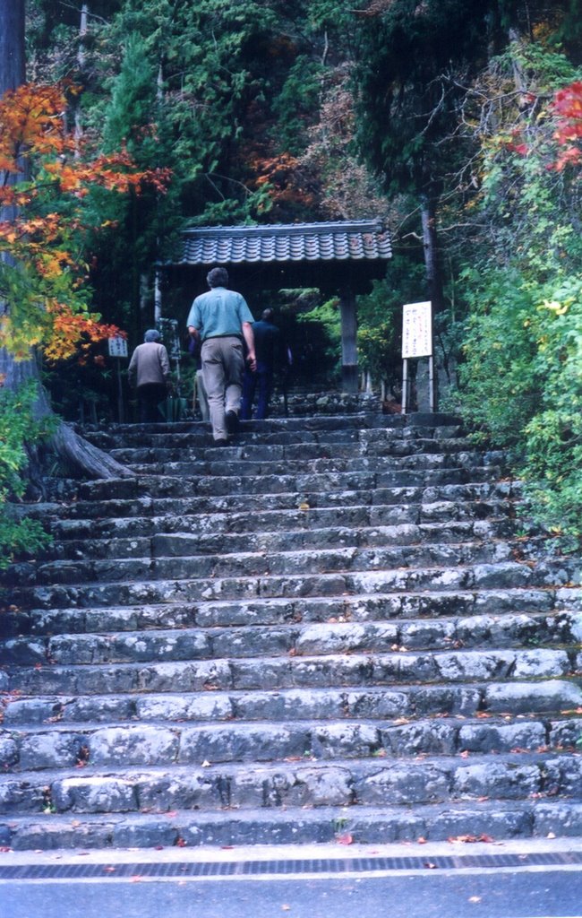 Steps to gate by cbaisan