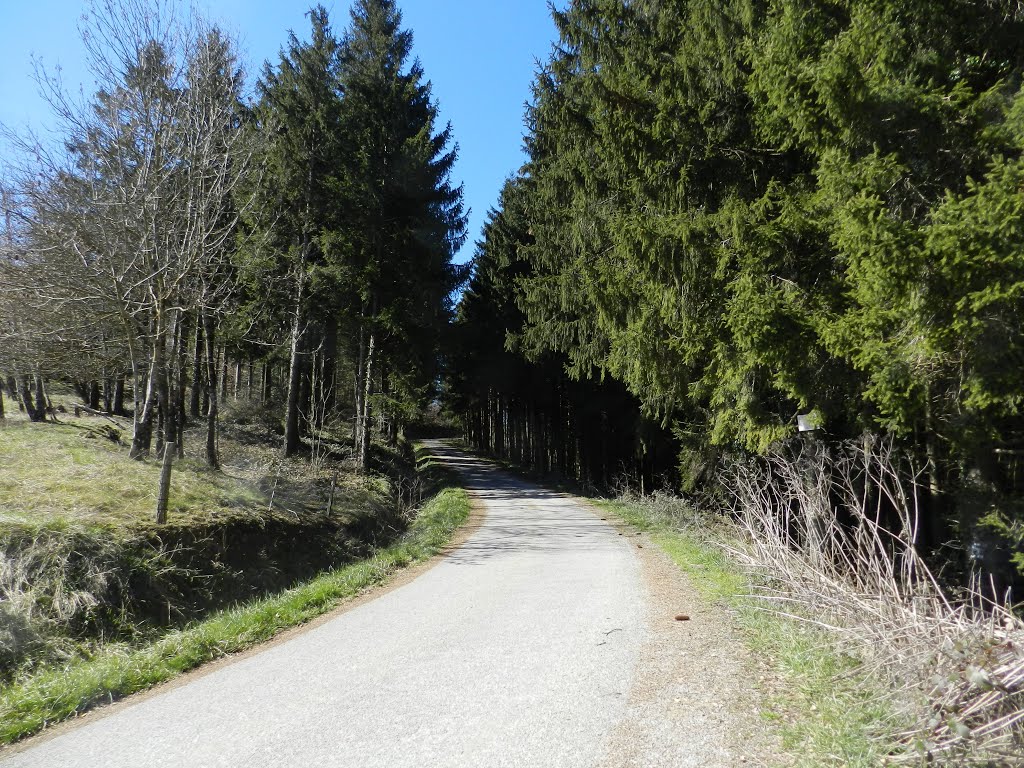 Route des crètes de Piccolordy by felipeche