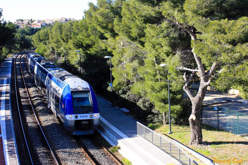 Le Train de la Côte Bleue en Gare de Sausset-les-Pins by Bernard Bost