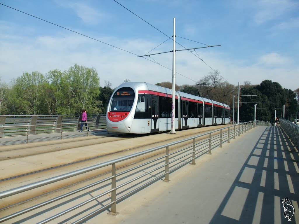 Einzige Strassenbahnlinie in Florenz by Roman M.