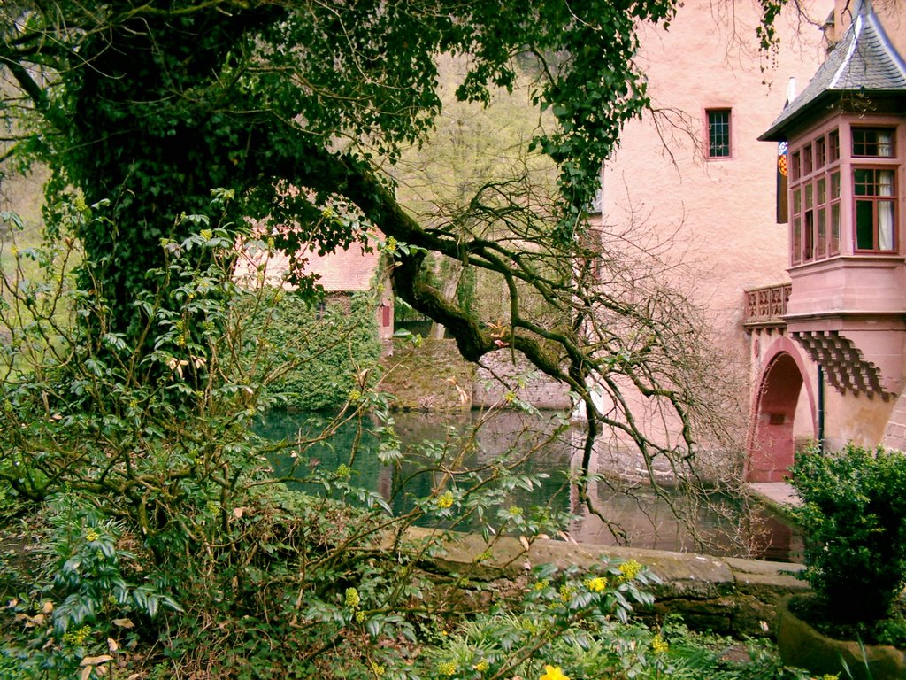 Mespelbrunn-Schloss mit Burggraben by plihub