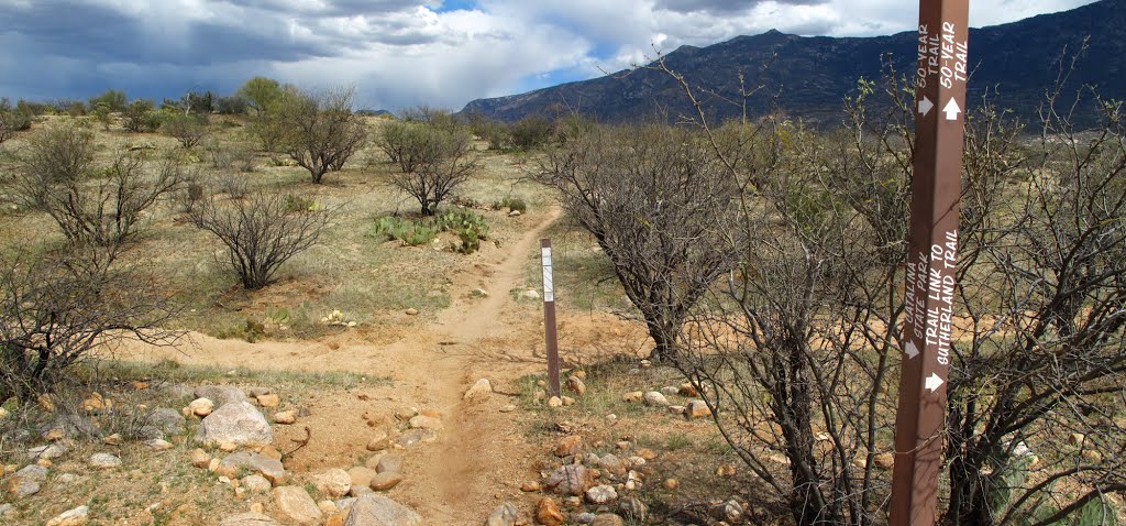 50 Year Trail junction with Sutherland link by David E. Smeeth