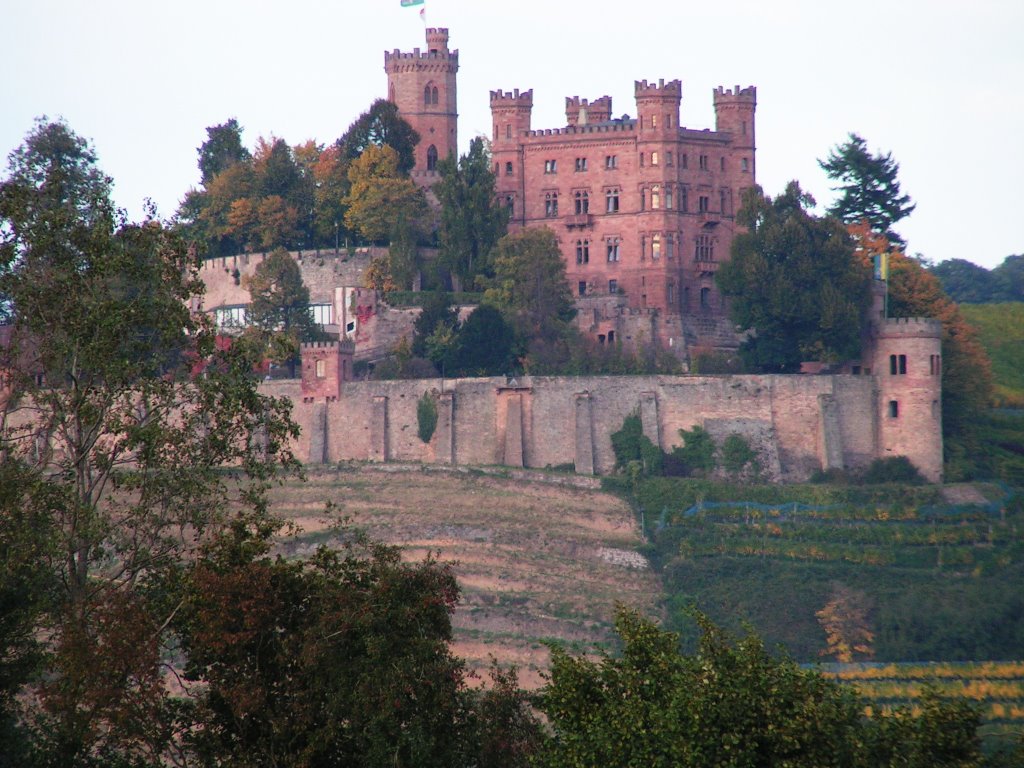 Schloss Ortenberg by Bernie1953