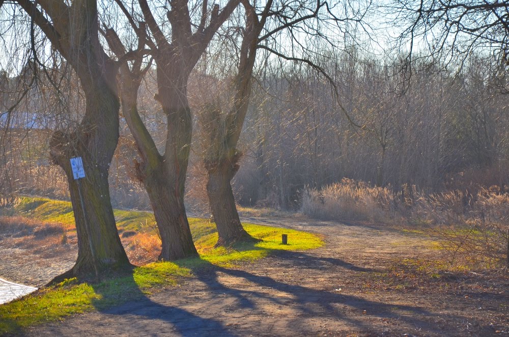 Kalety - park obok stawu - za nieczynną papierną by D@rolek