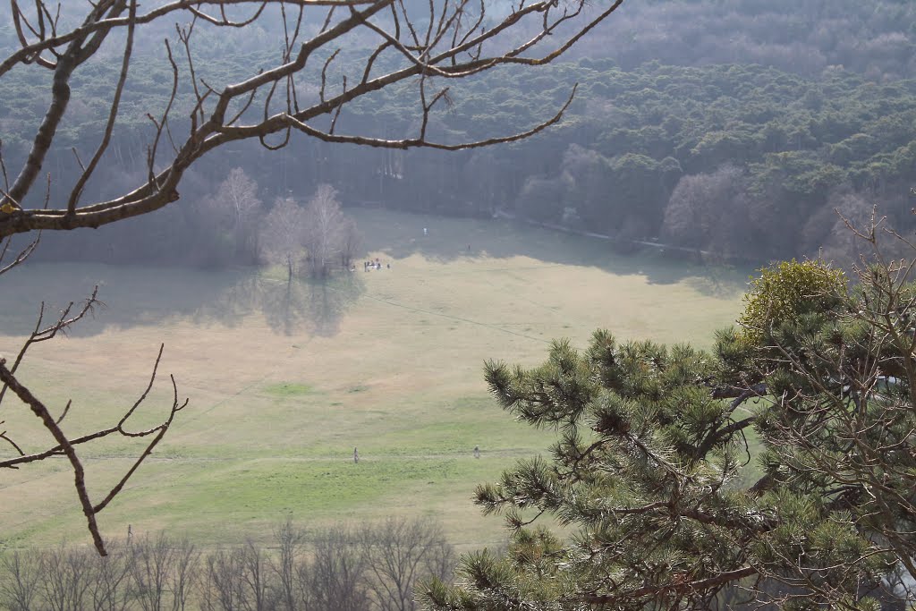 Blick von der Ruine Mödling auf die Meiereiwiese by Florian V.