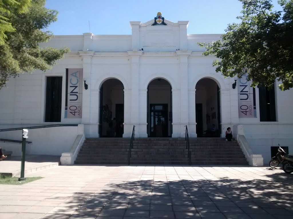 La Universidad de frente - (Roberto Guzmán) by Cimitarrero