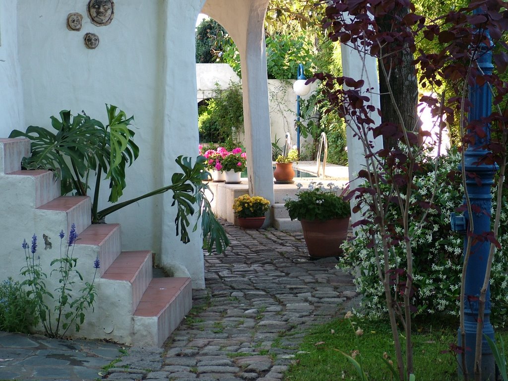 Fondo de mi casa en ituzaingó Buenos Aires by Mauricia Sala