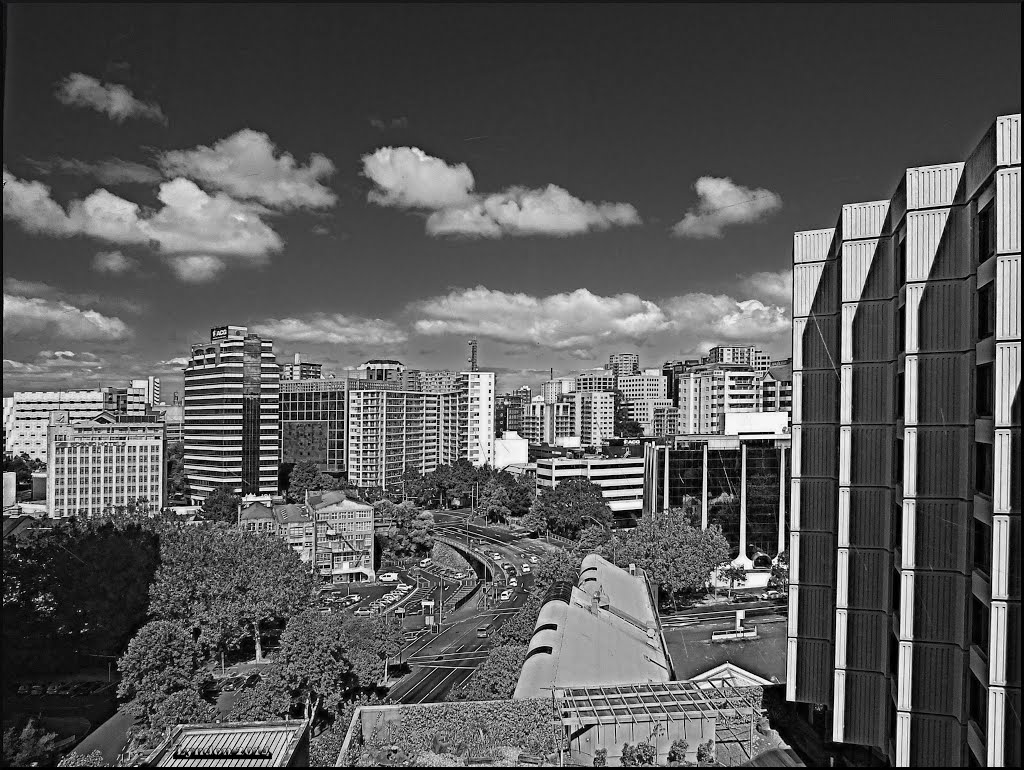 Monochrome Auckland by Lyndon