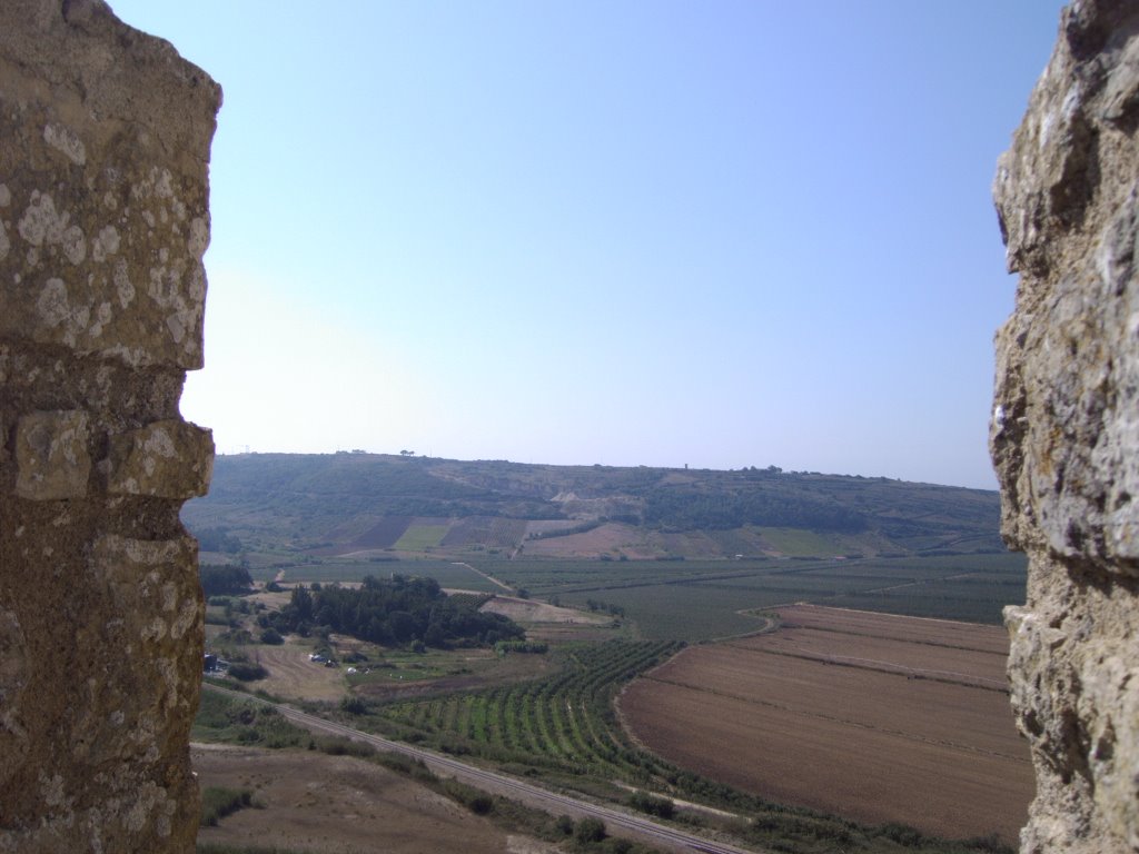 Obidos by Pedro Gomes