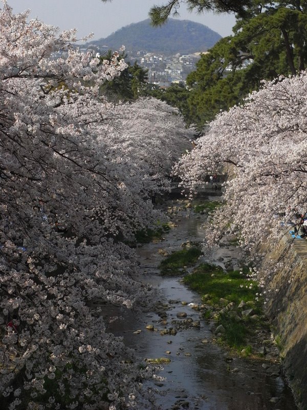 Shukugawa Park by Locomotion