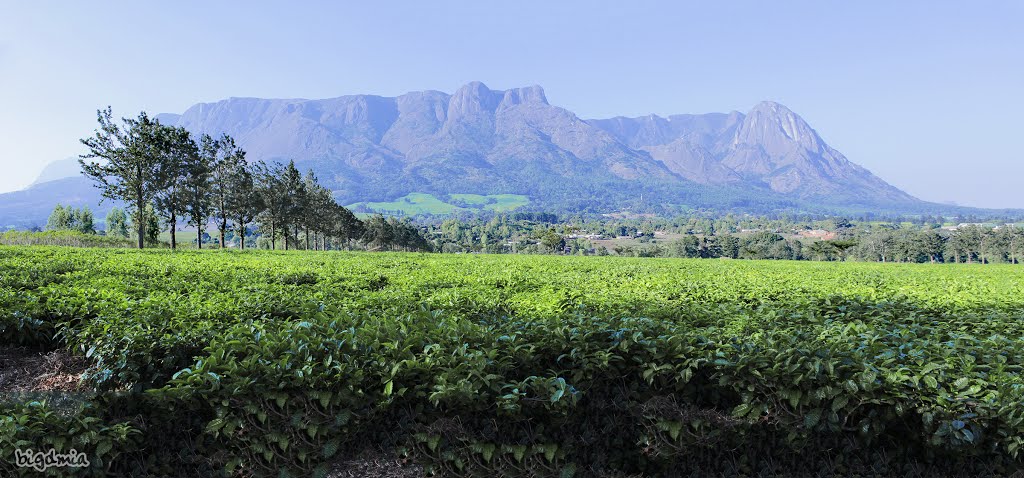 Mulanje Mountain by bigdmia