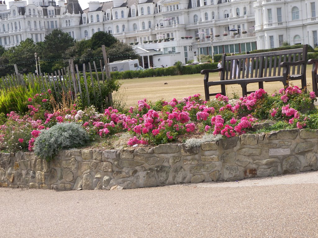 Eastbourne In Bloom by Vic Casambros