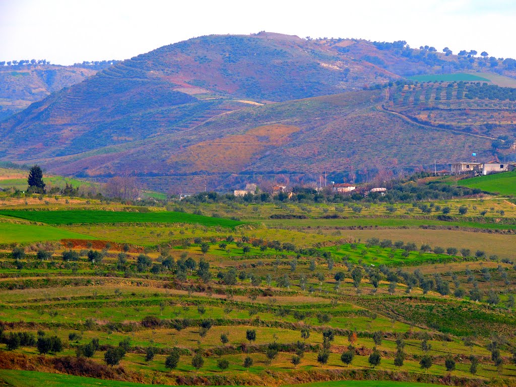 Shqipëria: Velmishe... by Sofjan Kotorri