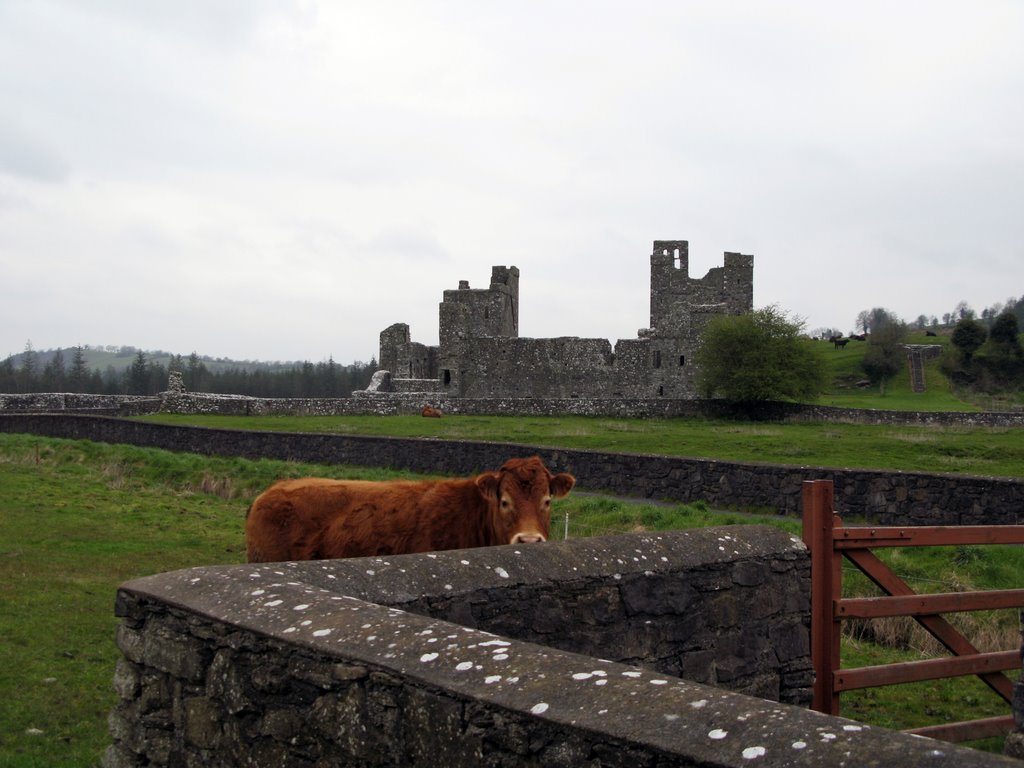 Fore, Co. Westmeath, Ireland by marek3333