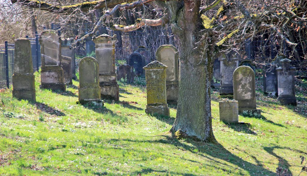 Untermerzbach Jüdischer Friedhof by Contessa