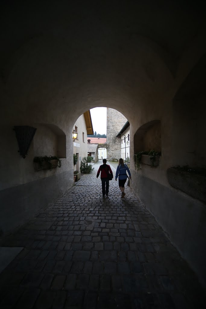 Fürsteneck - Schloss 48° 42' 55.34" N 13° 27' 39.27" E by A.B.W.