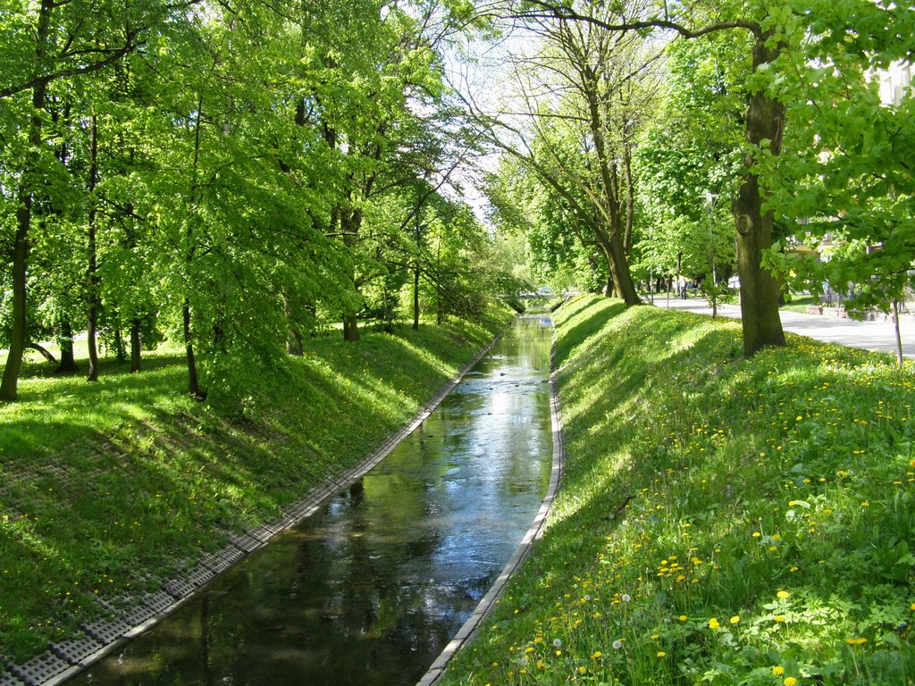 River Silnica on the Park (May) by ms_zeglarz