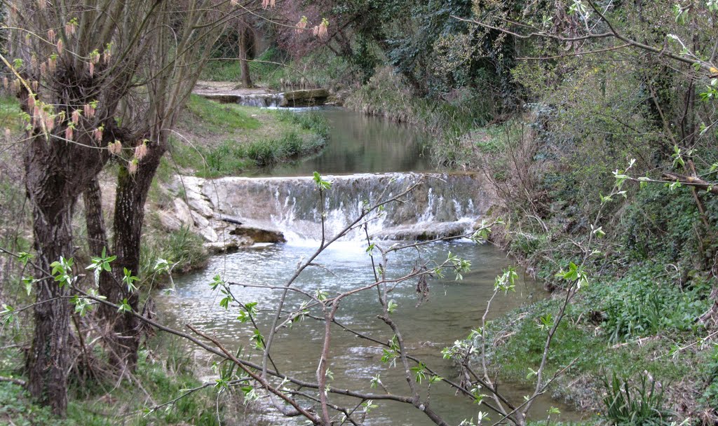 Torrente Scatorbia nei pressi delle Terme di Fontecchio, Città di Castello PG, Italia by balaramservice