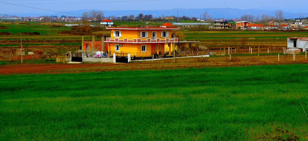 Shqipëria: Strumë... by Sofjan Kotorri