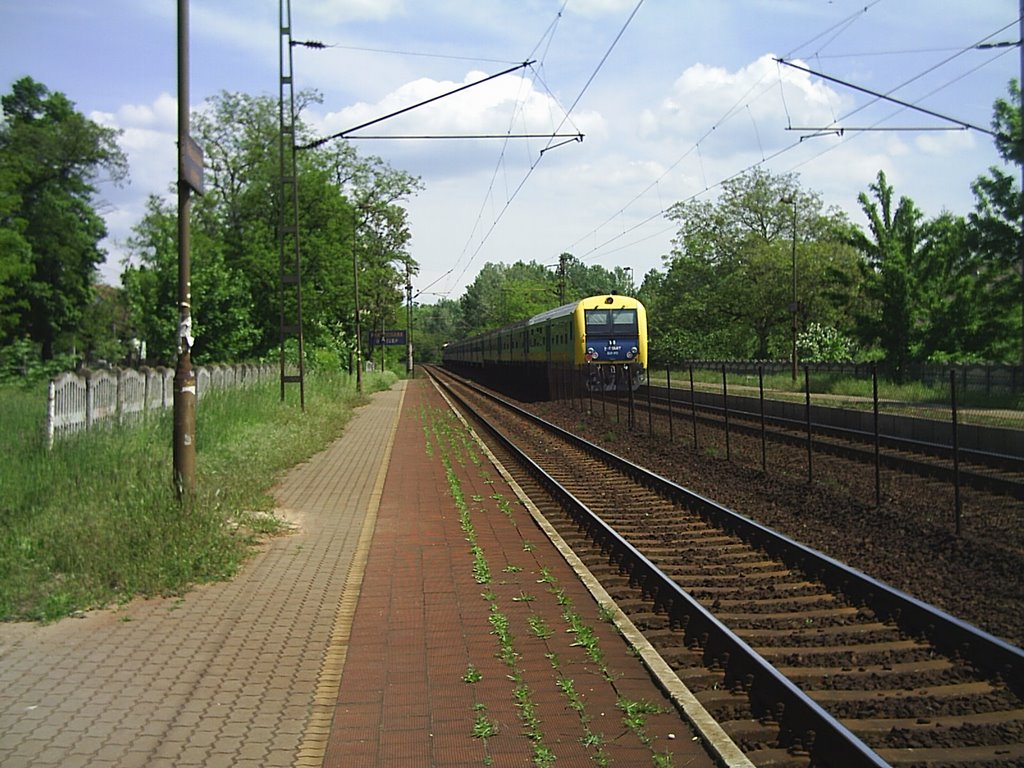 8th May,'08,12:30,"Rákoscsaba-New Settling Railway Station by Aeslan