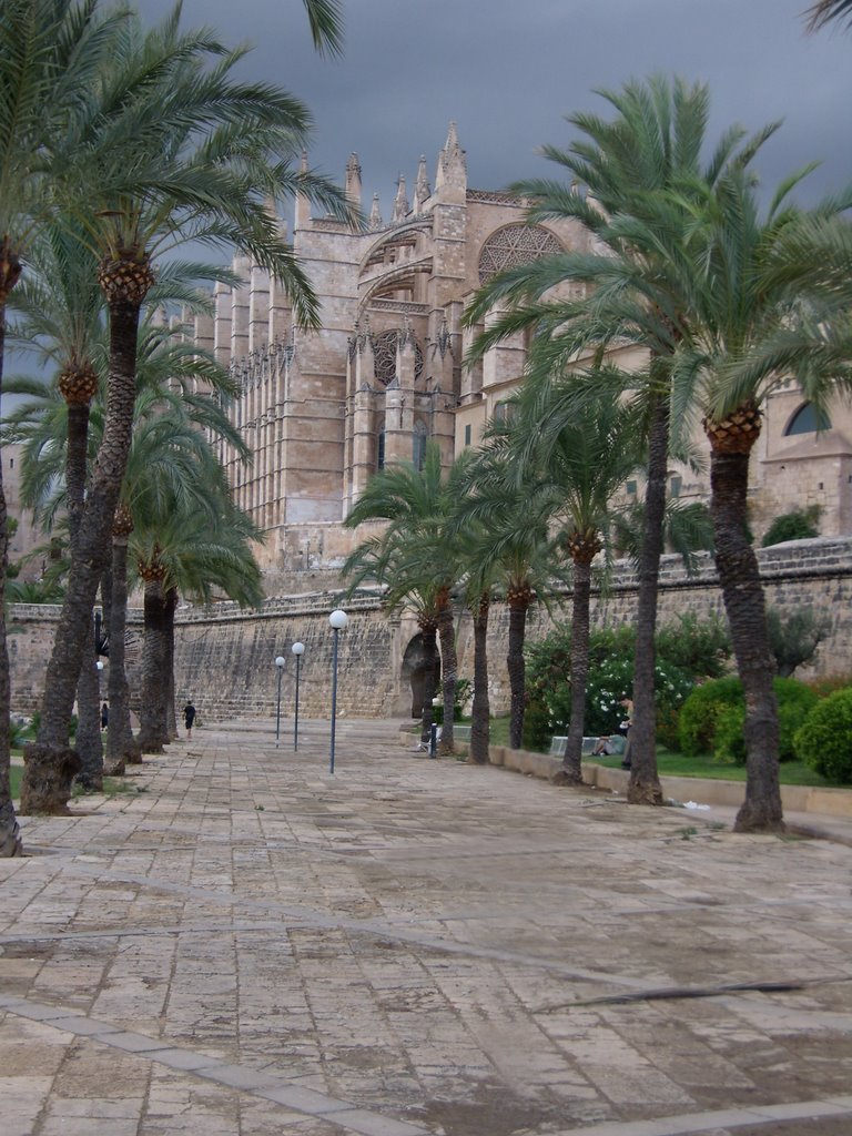 La Catedral de Palma de Mallorca by gionattan