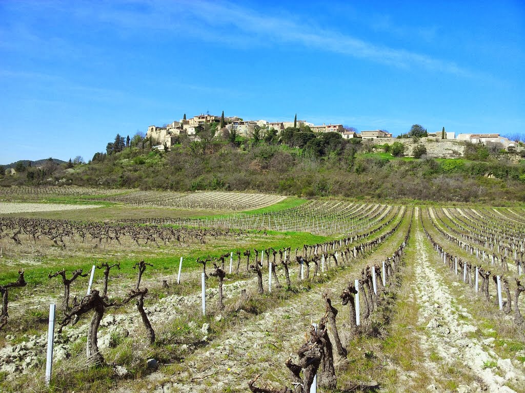 Faucon dans le Vaucluse by L'Etoile